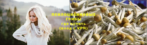 ALPHA-PVP Абинск