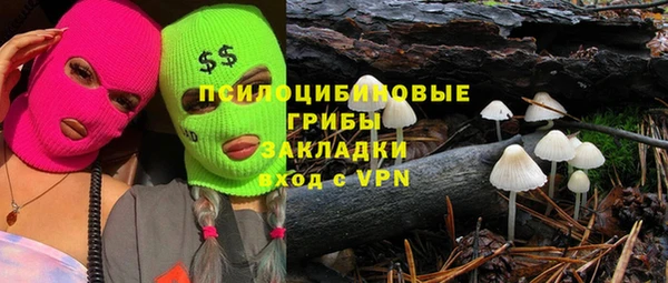 бошки Абаза