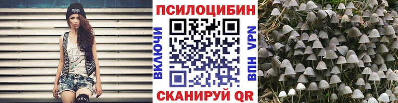 Галлюциногенные грибы ЛСД купить закладку Мосальск